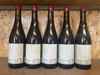 Sea of Dreams Garnacha