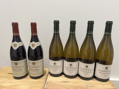 2 Mercurey la Framboisiere & 4 Bourgogne Chardonnay 2021