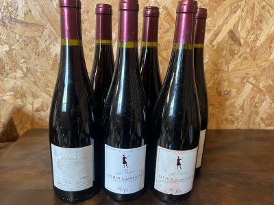 Rocheville, Saumur-Champigny, Prince