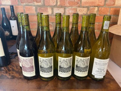 Force Celeste Chenin Blanc + Red