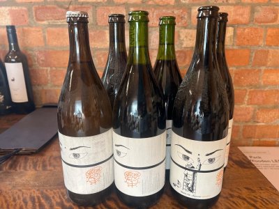 Niepoort Nat Cool Red + 1 White Navarra