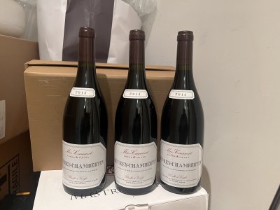 Meo-Camuzet Gevrey-Chambertin