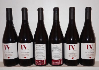 RUFETE, SINGLE VINEYARD VALDEHERREROS, BODEGA CUARTA GENERACION, SALAMANCA