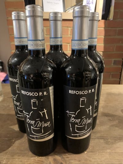 Terra Musa Refosco P.R.