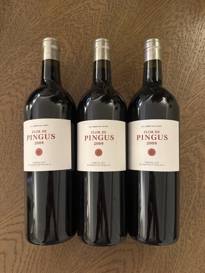 Dominio de Pingus, Flor Pingus, Ribera del Duero DO