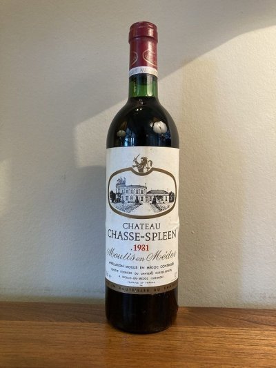 Chateau Chasse-Spleen, Moulis en Medoc