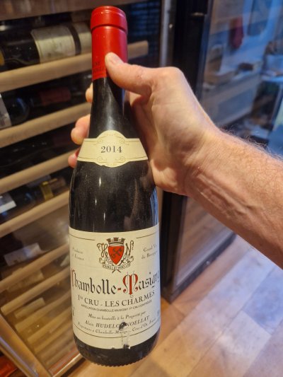 Alain Hudelot-Noellat, Chambolle-Musigny Premier Cru, Les Charmes