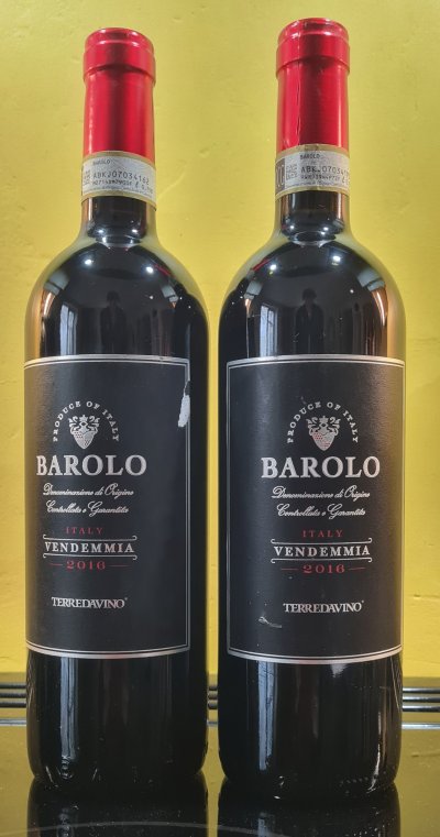 Vendemmia TerreDavino Barolo