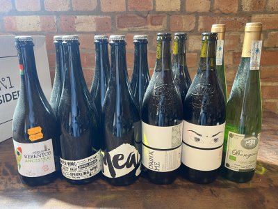 6 x pet nat / 3 bairrada red / 2 x txalina / all organic 