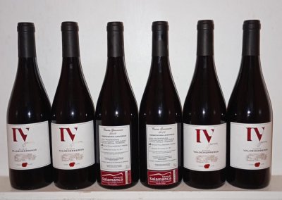 RUFETE, SINGLE VINEYARD VALDEHERREROS, BODEGA CUARTA GENERACION, SALAMANCA