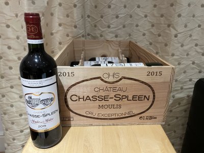 Chateau Chasse-Spleen, Moulis en Medoc