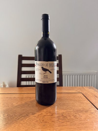 Poggio AI Merli Di Castellare