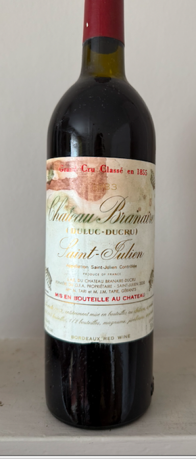 Duluc de Branaire-Ducru, Chateau Branaire-Ducru, Saint-Julien