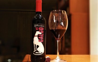 Sara Rivera, El Galgo, Castilla y Leon