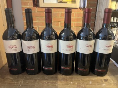 Bodega Mustiguillo, El Terrerazo, Terrerazo Quincha Corral Vino Pago