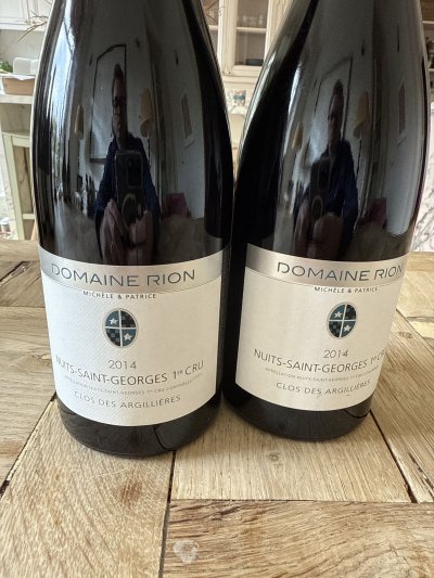 Nuits-St-Georges 1er Cru, Clos des Argillieres, Domaine Rion, Michele & Patrice