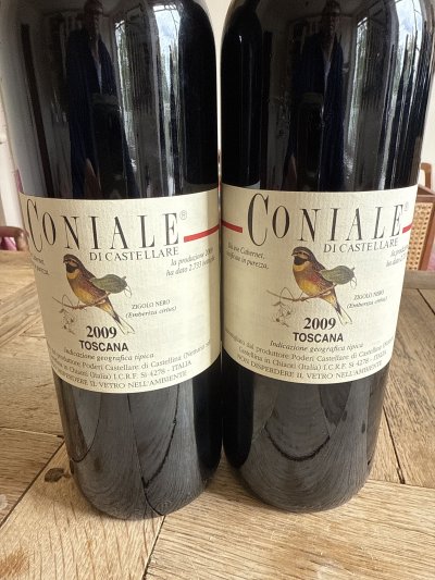 Castellare di Castellina, Coniale, IGT