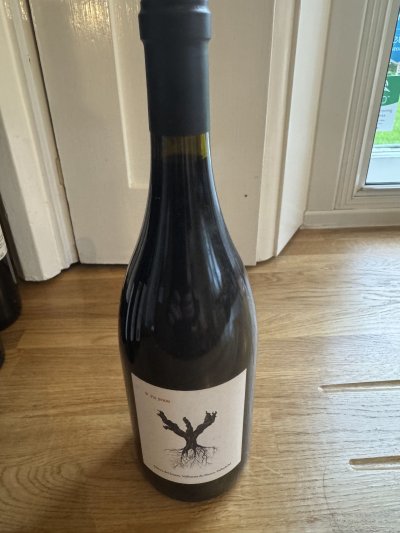 Peter Sisseck, Psi, Ribera del Duero DO