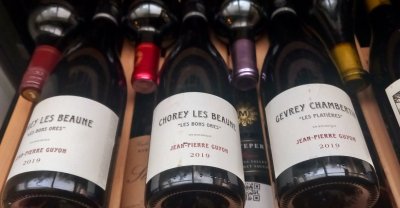 Domaine Jean-Pierre Guyon, Gevrey-Chambertin, La Platiere