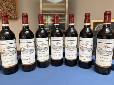 Chateau Chasse-Spleen, Moulis en Medoc