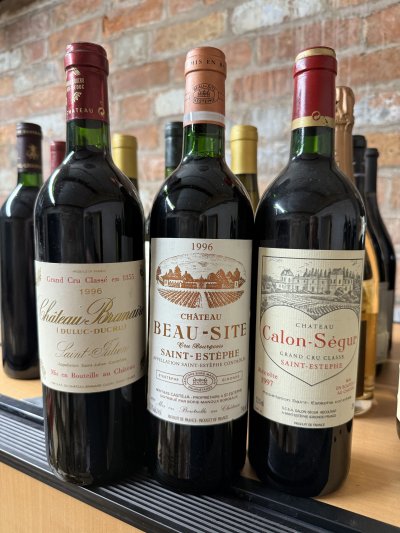 Mixed Bordeaux bin ends x 3