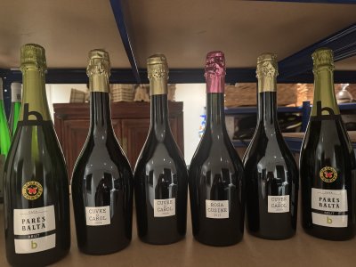 Pares Balta Spanish Sparklng Traditional Method Mixed Lot - COLLECTION IN LONDON IN PERSON ONLY