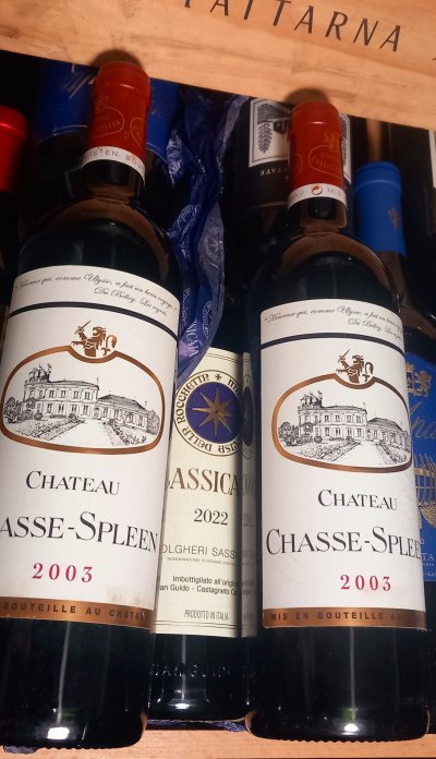 Chateau Chasse-Spleen, Moulis en Medoc