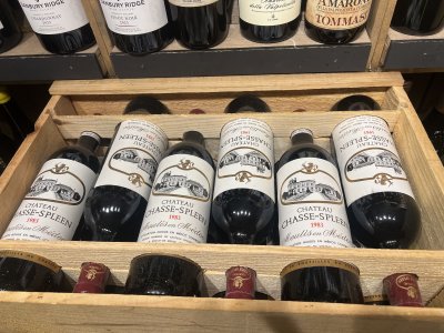 Chateau Chasse-Spleen, Moulis en Medoc