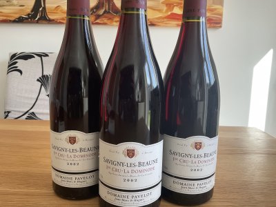 Domaine Pavelot, Savigny-les-Beaune Premier Cru, La Dominode