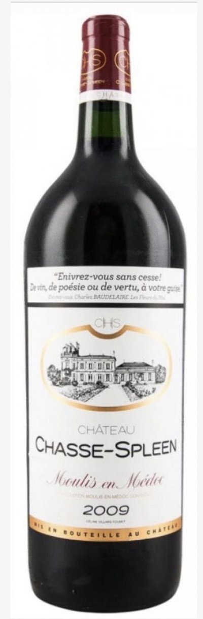 Chateau Chasse-Spleen, Moulis en Medoc