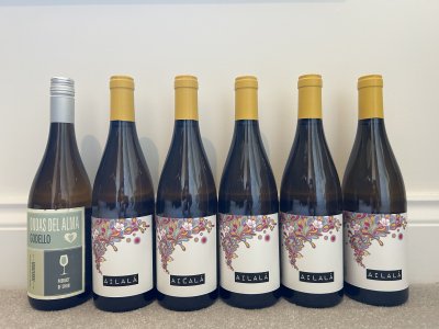 Mixed Case, Standard LWIN - Spanish whites