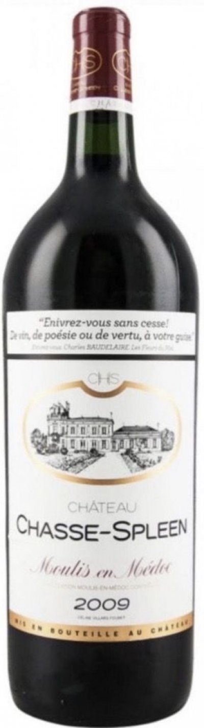 Chateau Chasse-Spleen, Moulis en Medoc
