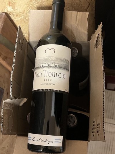 Benegas, Don Tiburcio, Mendoza