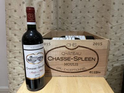 Chateau Chasse-Spleen, Moulis en Medoc