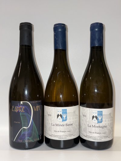 Jean-Pierre Robinot, L'ange Vin Charme, VdF
