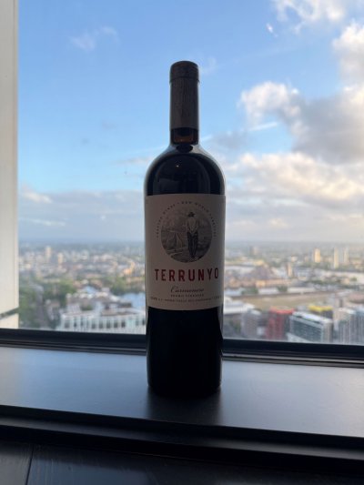 Terrunyo Carmenère - Concha Y Toro