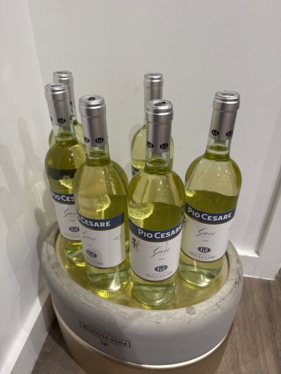 Pio Cesare, Gavi