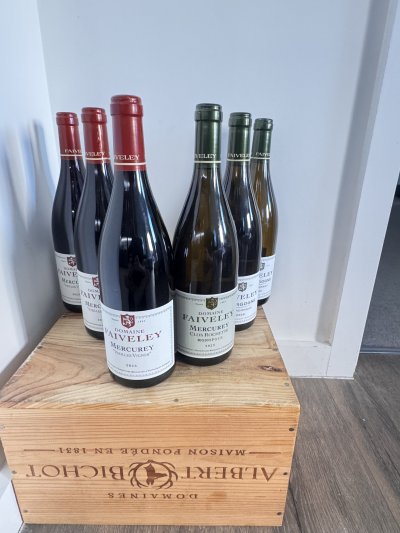 Faiveley 2023 Mixed case -6 bottles ( Mercurey, Bourgogne Chardonnay & Mercurey clos rochette Monopole)
