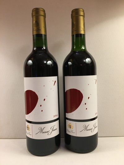 Musar, Musar Jeune Red, Bekaa Valley, Lebanon