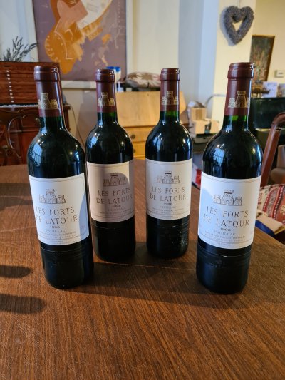 Les Forts de Latour, Bordeaux, Pauillac, France, AOC