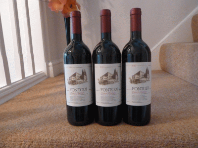Fontodi, Chianti Classico, Tuscany, Chianti, Italy, DOCG