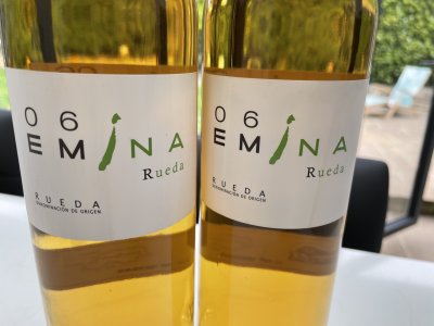 Bodega Emina Rueda Verdejo 2006