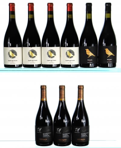 Mixed Lot of Spanish and Chilean Reds, 2015 and 2016 