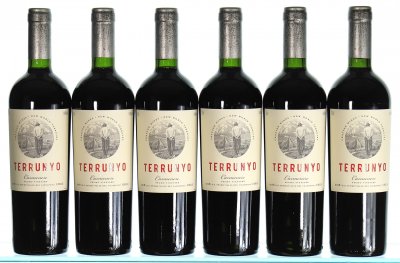 Concha Y Toro, Terrunyo Carmenere, Aconcagua