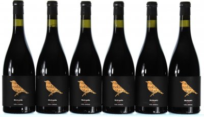 Zorzal, Malayeto, Navarra