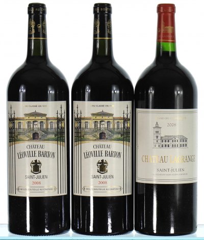 Mixed Lot of Saint-Julien (Magnums)