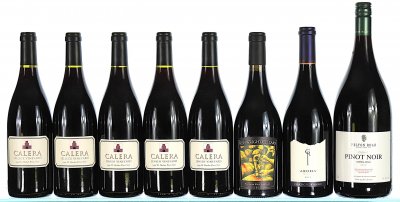 1999/2013 A Wonderful Mixed Pinot Noir Case from USA and New Zealand (Mixed Formats)
