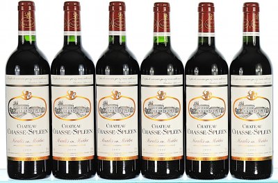 Chateau Chasse-Spleen, Moulis en Medoc 