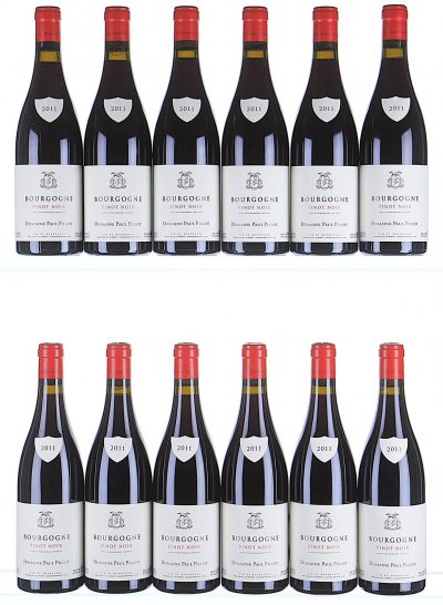Paul Pillot, Bourgogne, Pinot Noir - In Bond
