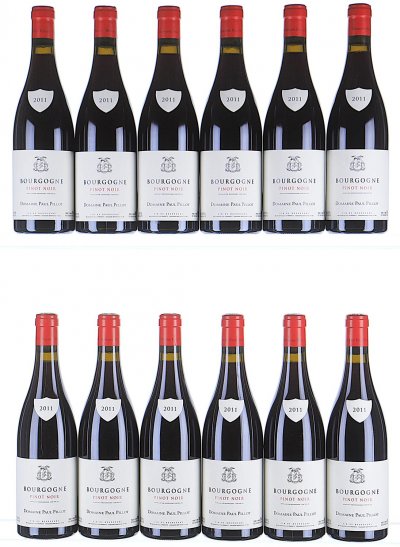 Paul Pillot, Bourgogne, Pinot Noir - In Bond